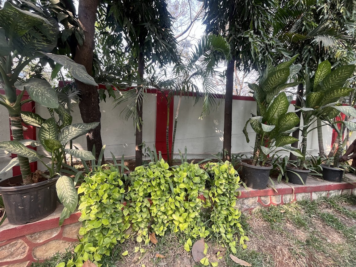 Outdoor landscape design