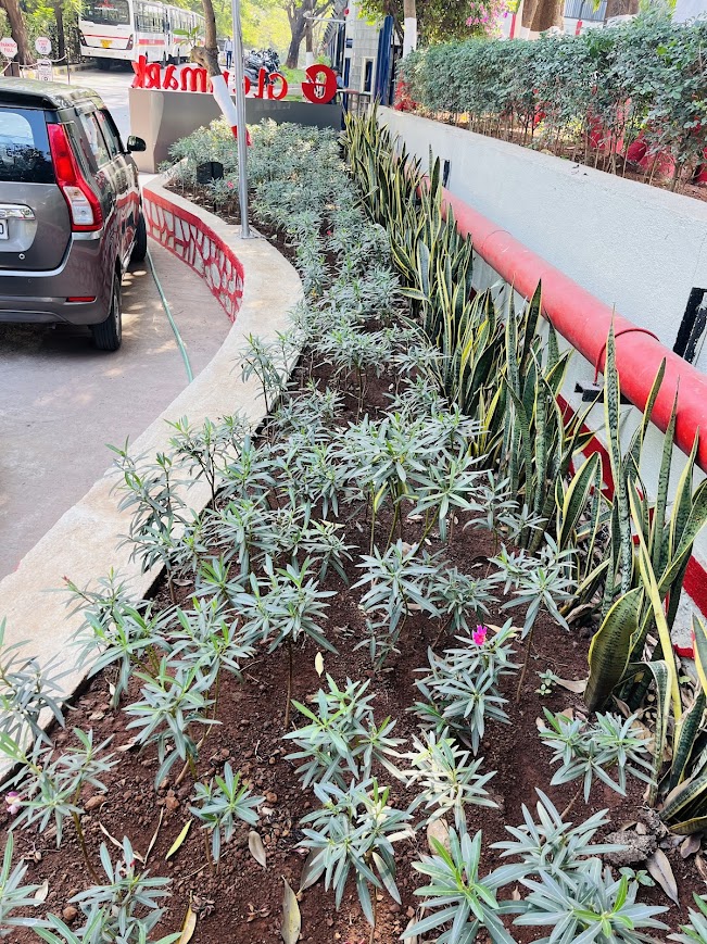 Landscape design process