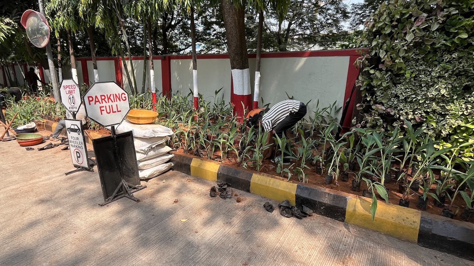 Beautiful garden landscape