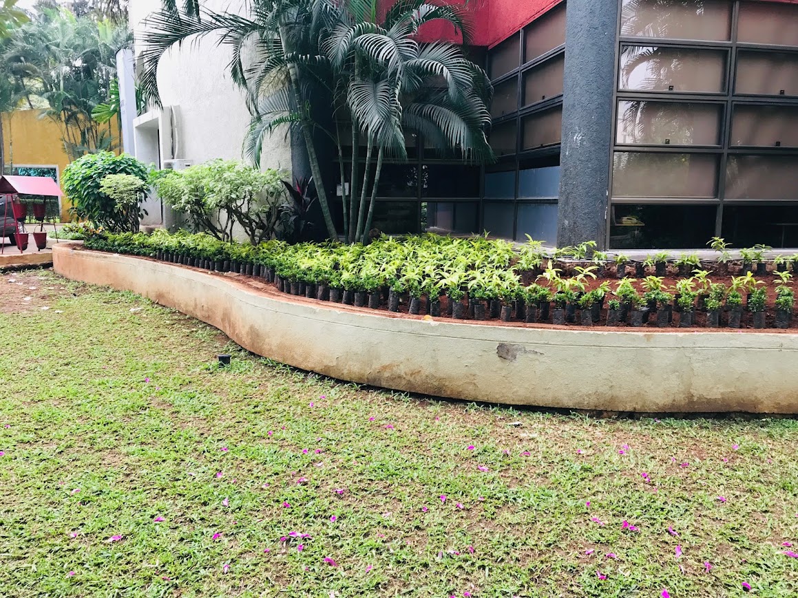 Vertical Garden System